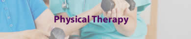Physical Therapy